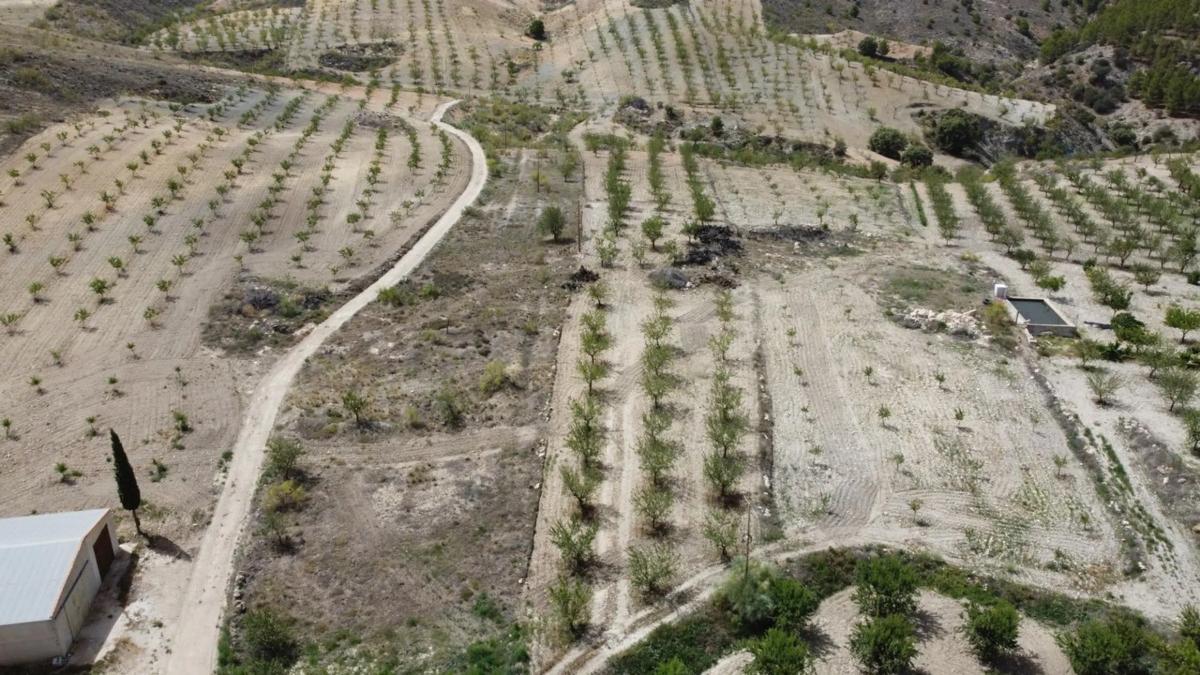 Land for sale in Oria, Almería photo 3
