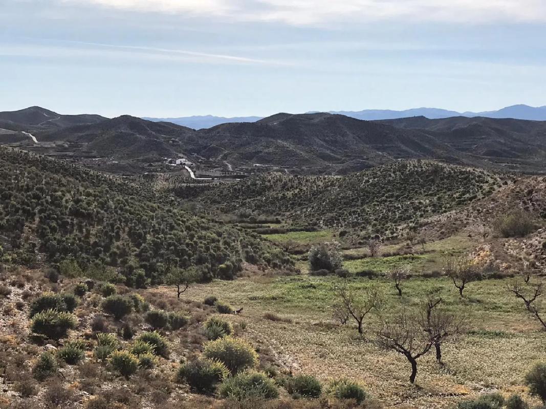 Terreno en venta en Albox, Almería photo 1