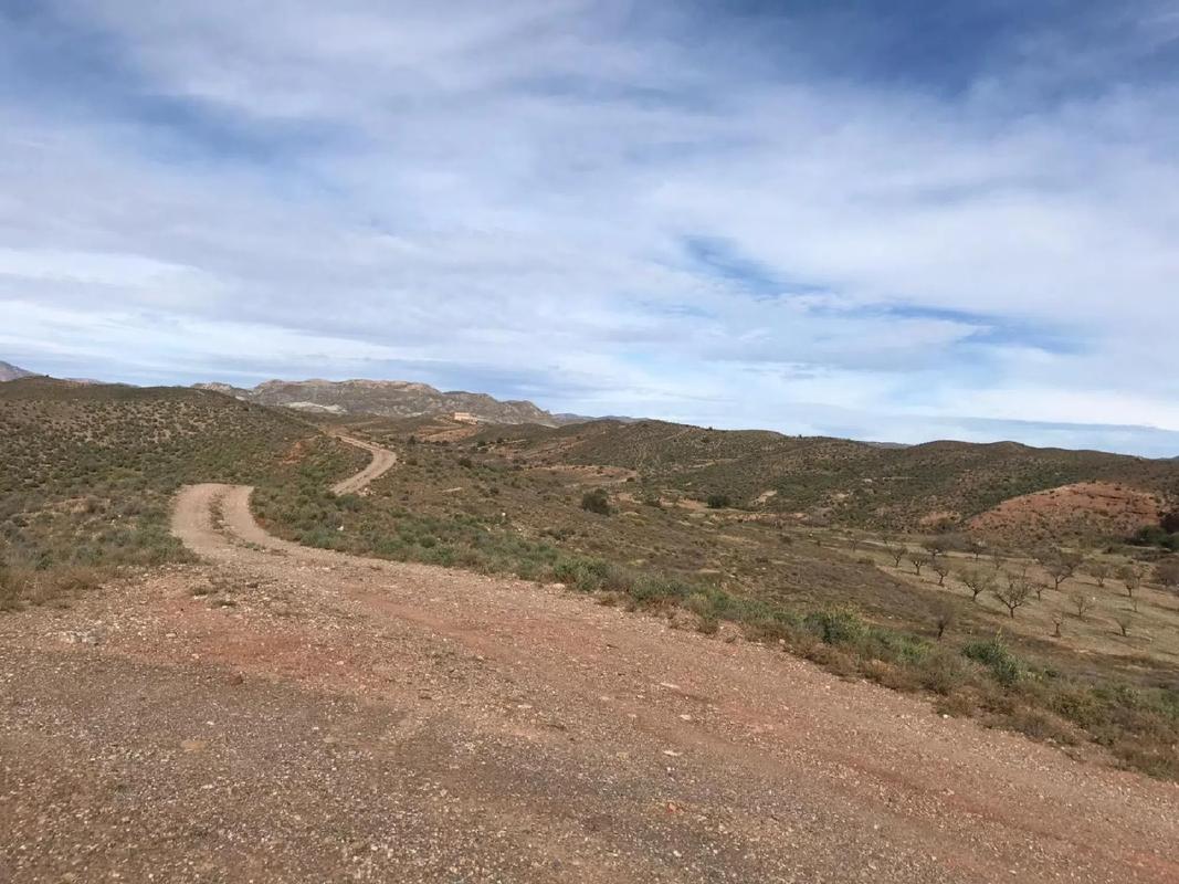 Terreno en venta en Albox, Almería photo 2