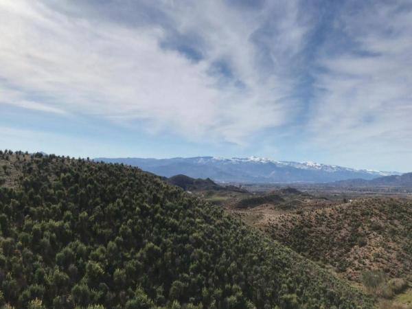 Terreno en plaza San Francisco photo 4