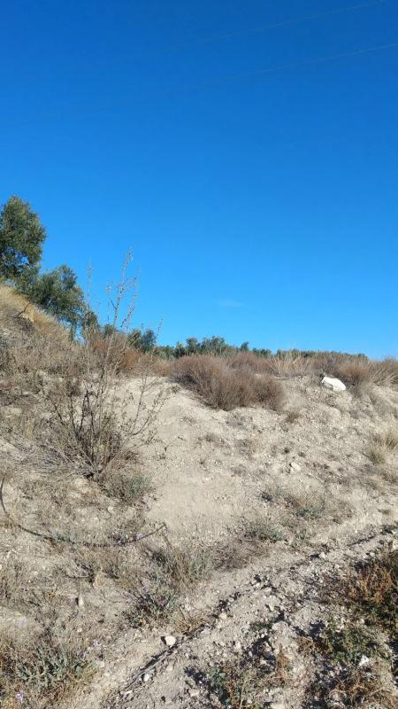 Terreno en venta en Tijola, Almería photo 3
