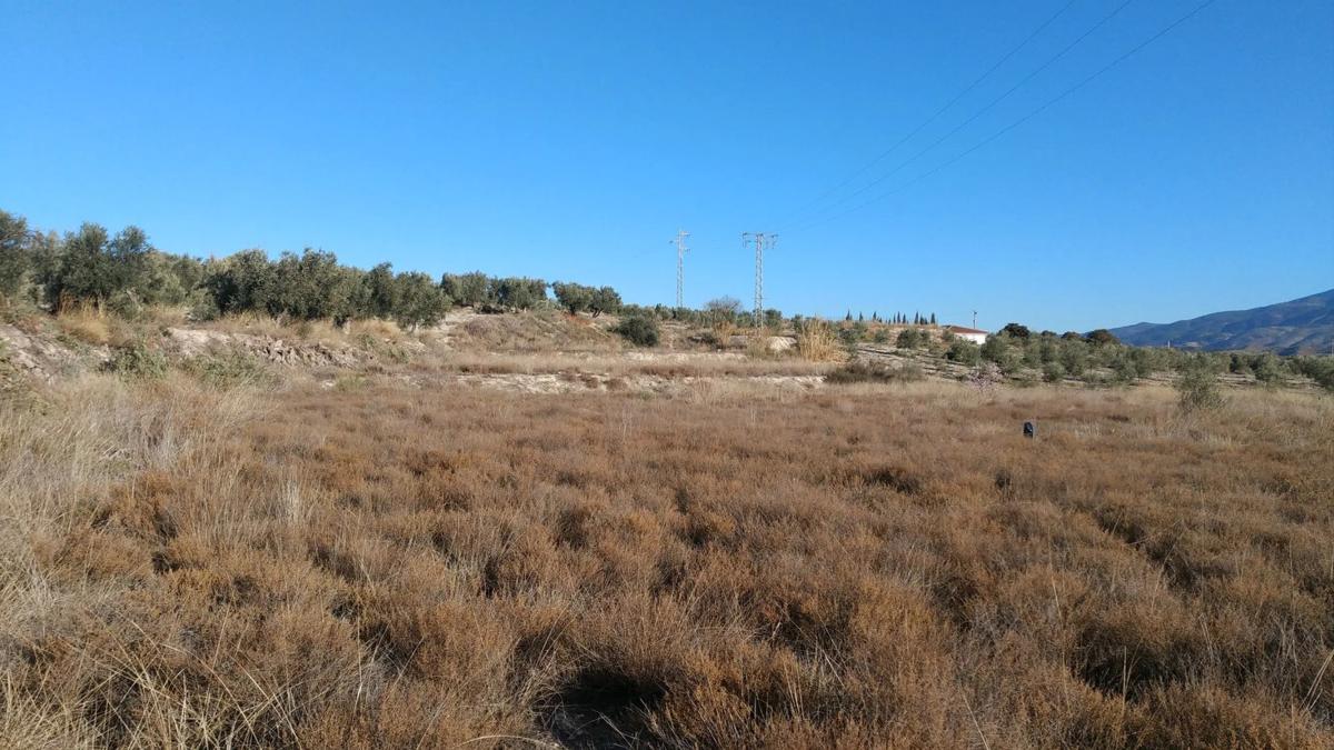 Terreno en venta en Tijola, Almería photo 4