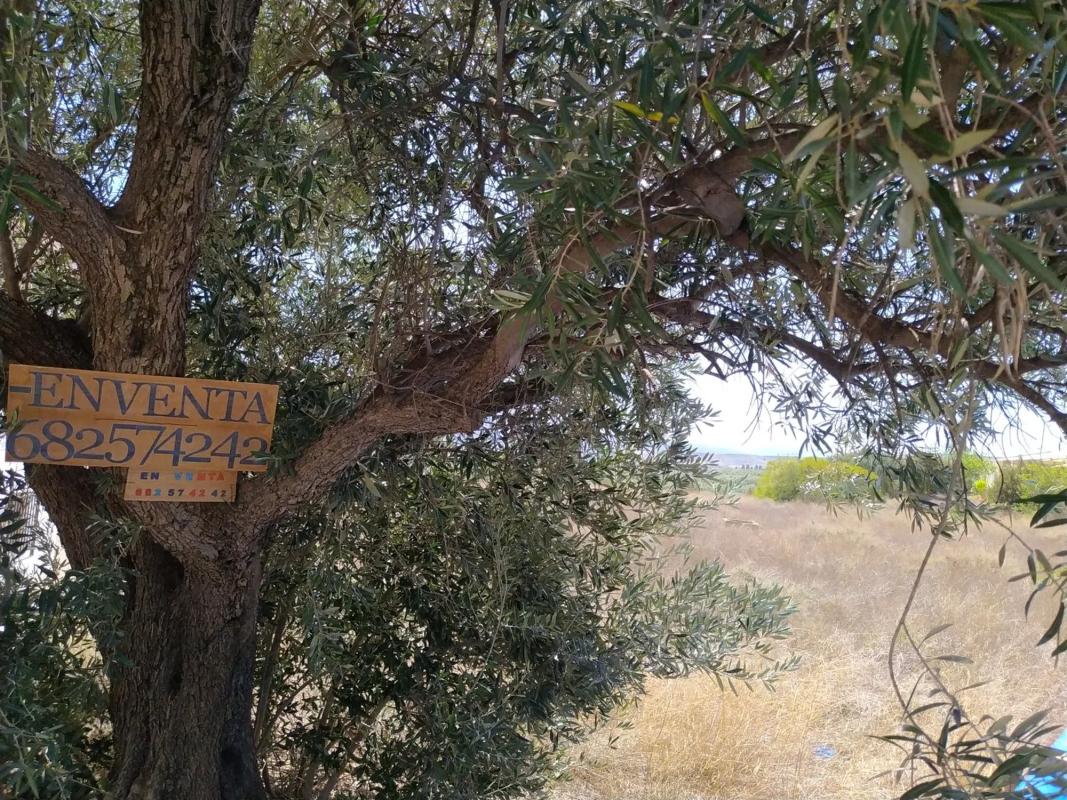 Terreno en venta en Tijola, Almería photo 5
