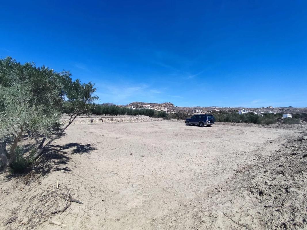 Terreno en venta en Albox, Almería photo 4