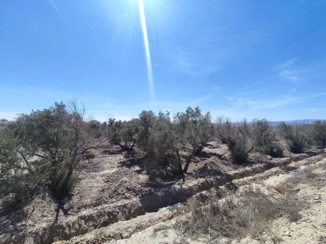 Terreno en venta en Albox, Almería photo 5