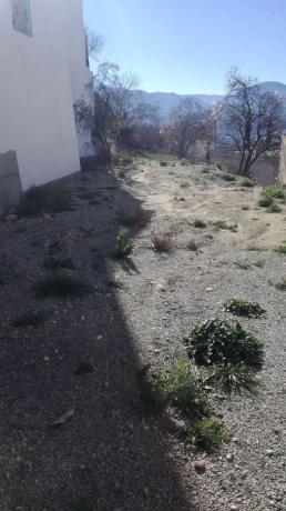 Terreno en calle Pilar, 18 photo 3