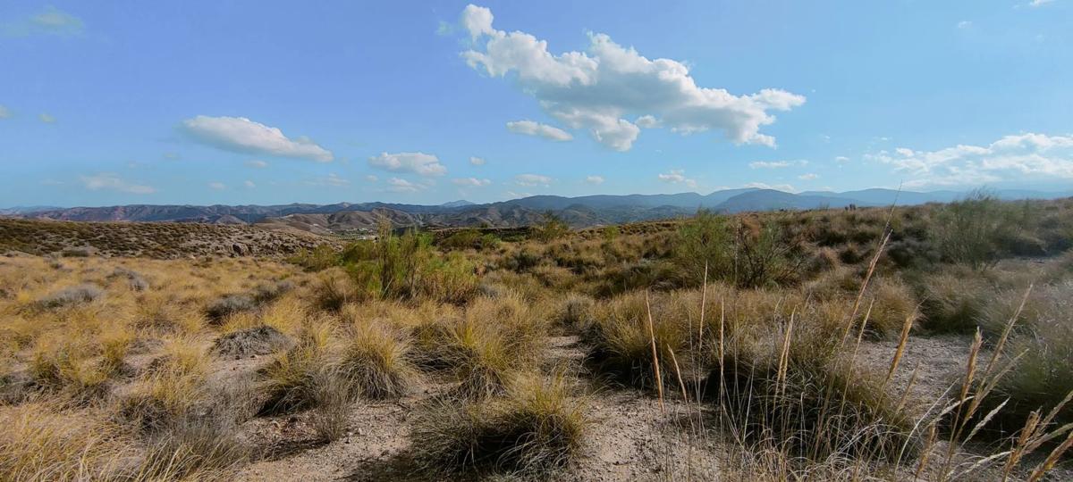 Terreno en venta en Cantoria, Almería photo 4