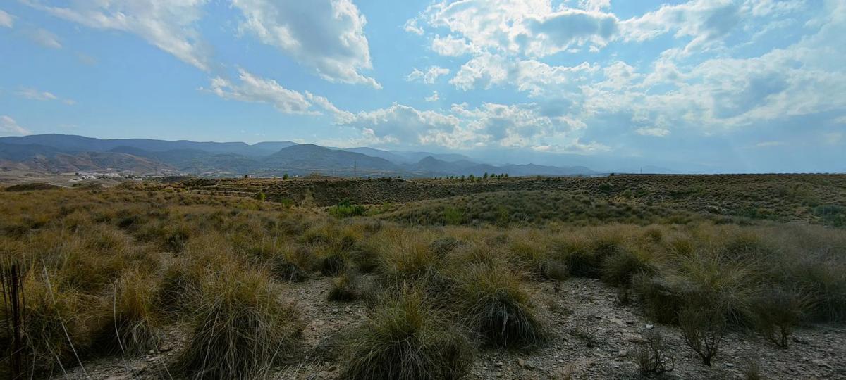 Terreno en venta en Cantoria, Almería photo 5