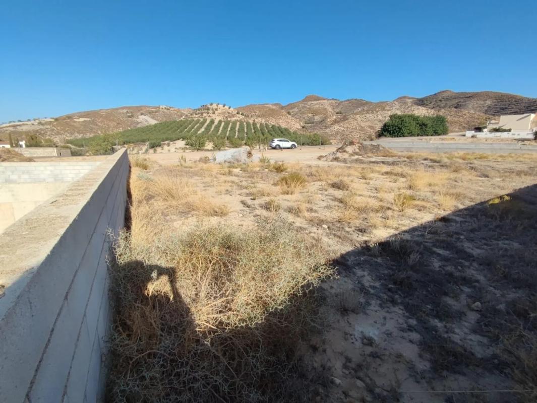 Terreno en venta en Arboleas, Almería photo 1