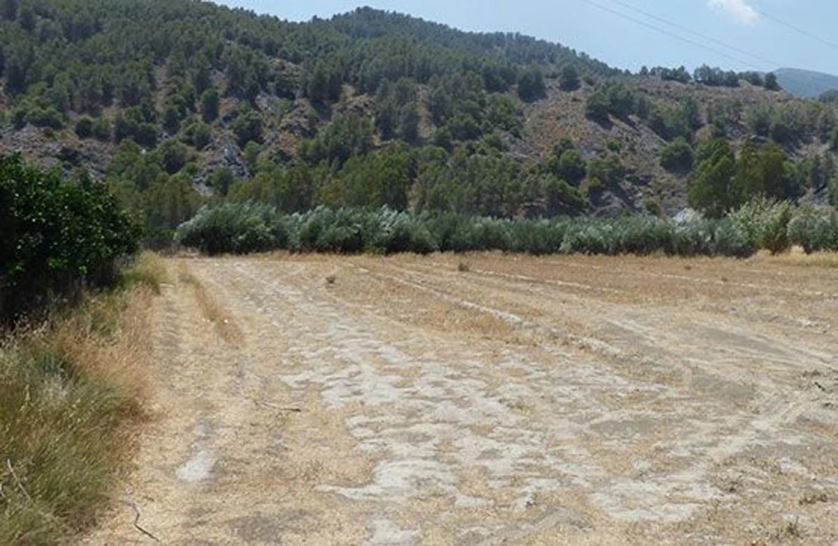 Terreno en venta en Purchena, Almería photo 4