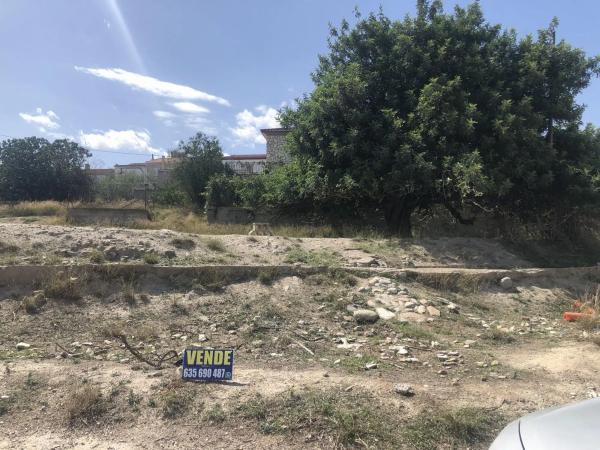 Terreno en Arboleas photo 3