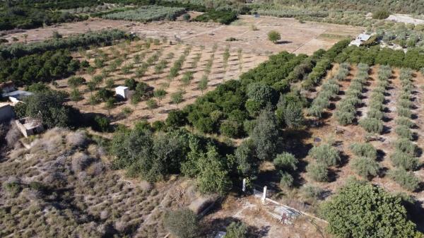 Terreno en Cantoria photo 1