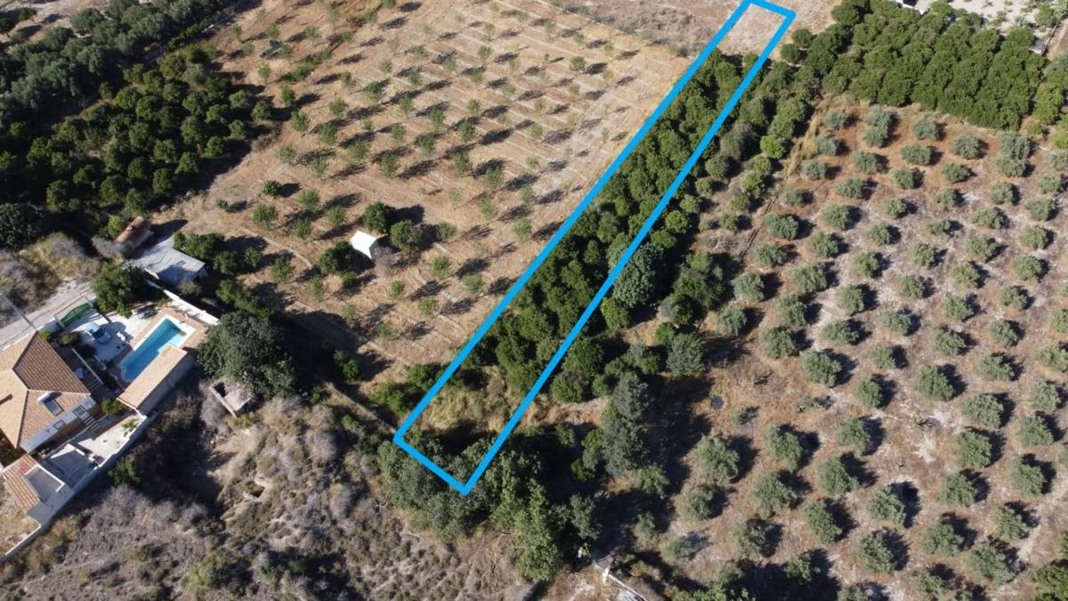 Terreno en venta en Cantoria, Almería photo 2