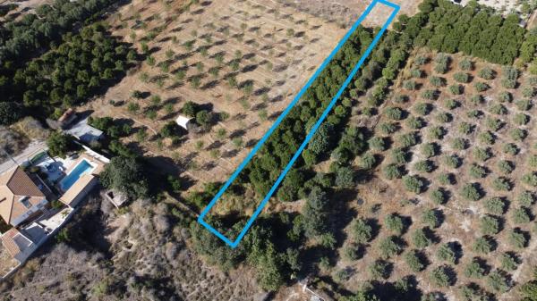Terreno en Cantoria photo 2