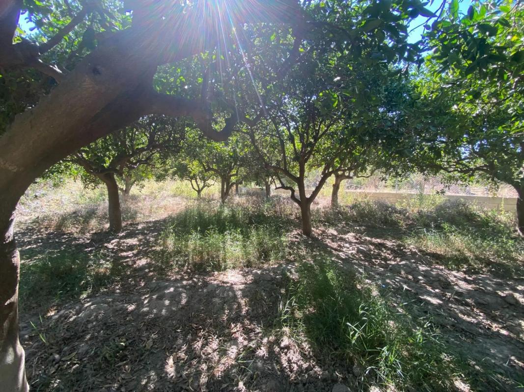 Terreno en venta en Cantoria, Almería photo 4