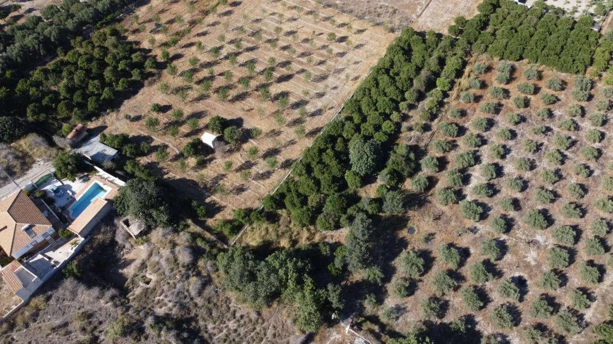 Terreno en venta en Cantoria, Almería photo 5