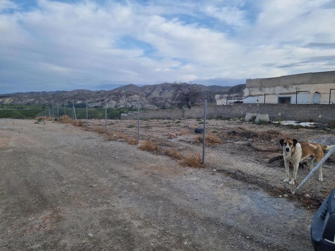 Terreno en venta en Cantoria, Almería photo 3