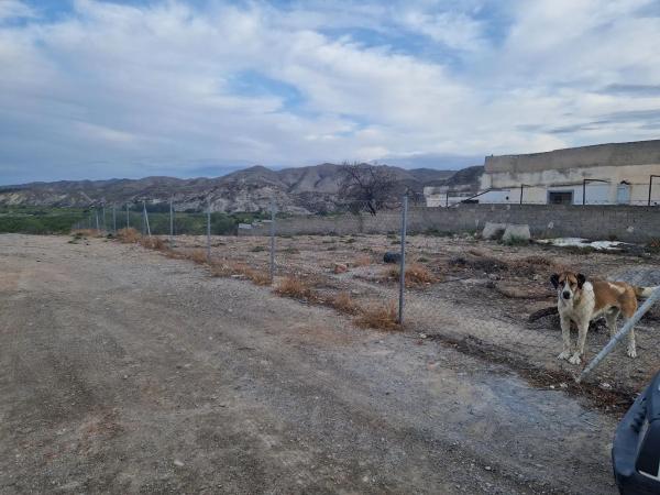 Terreno en Cantoria photo 3
