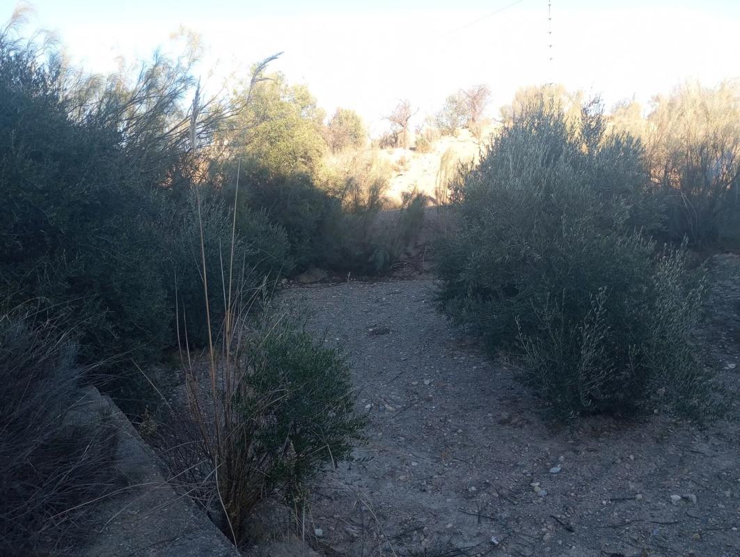 Terreno en venta en Albox, Almería photo 2