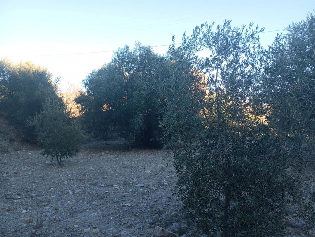 Terreno en venta en Albox, Almería photo 5