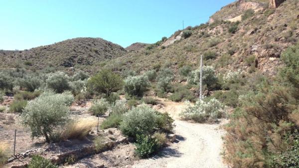 Terreno en Cantoria photo 4