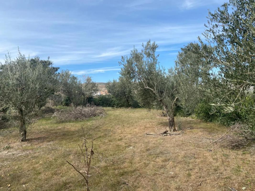 Terreno en venta en Tijola, Almería photo 3