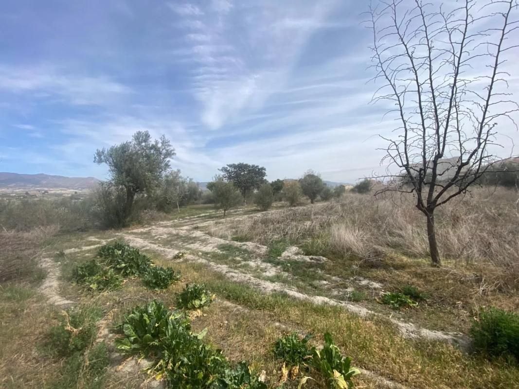 Terreno en venta en Tijola, Almería photo 4