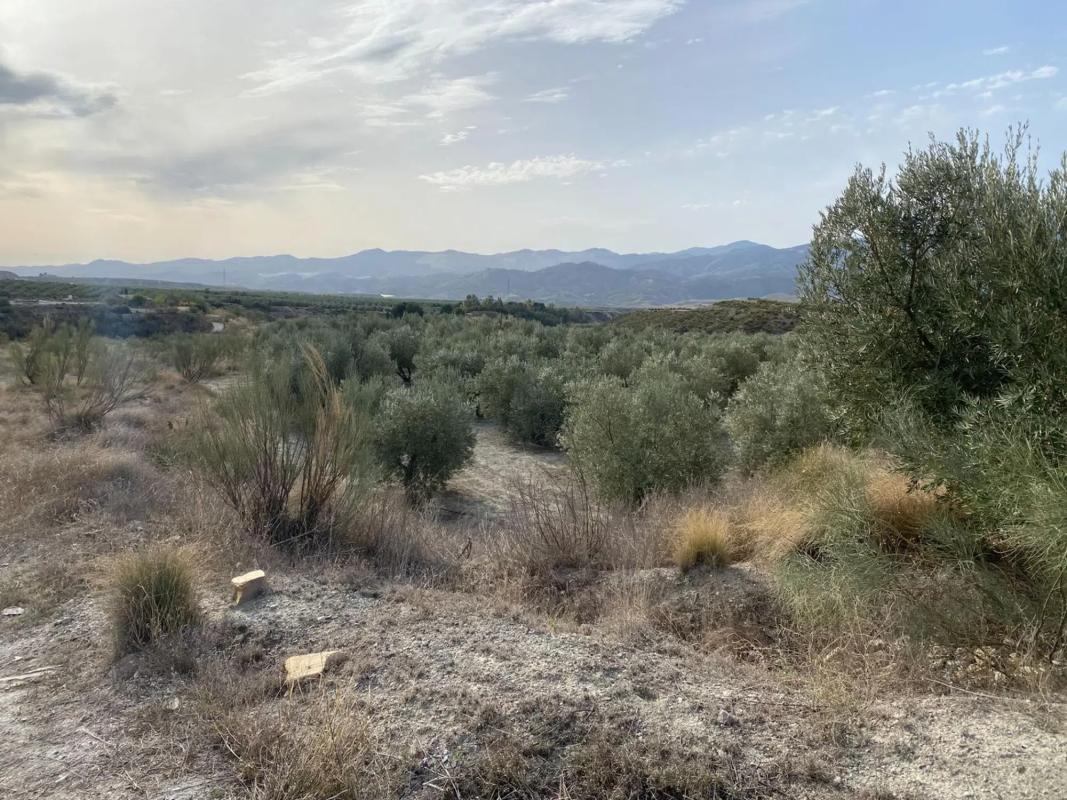 Terreno en venta en Urracal, Almería photo 5