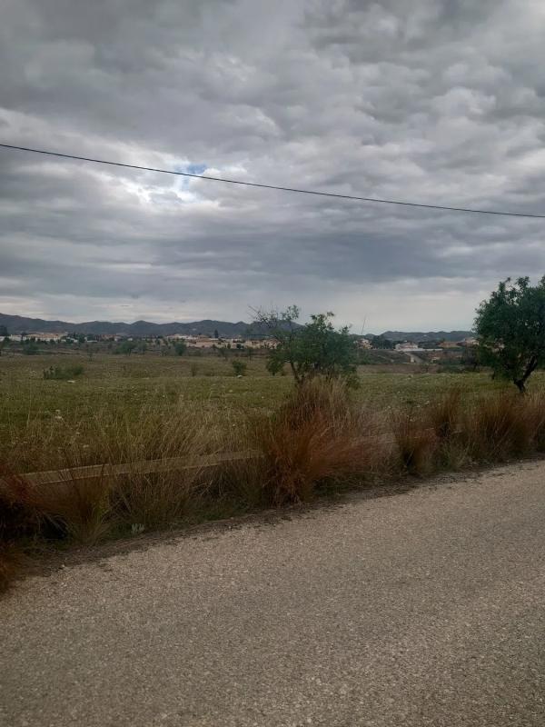 Terreno en venta en Albox, Almería photo 2