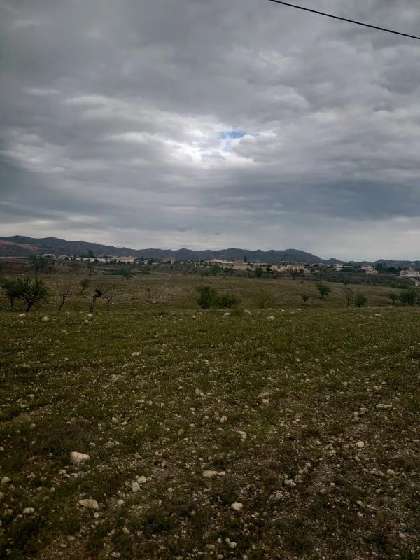 Terreno en venta en Albox, Almería photo 3