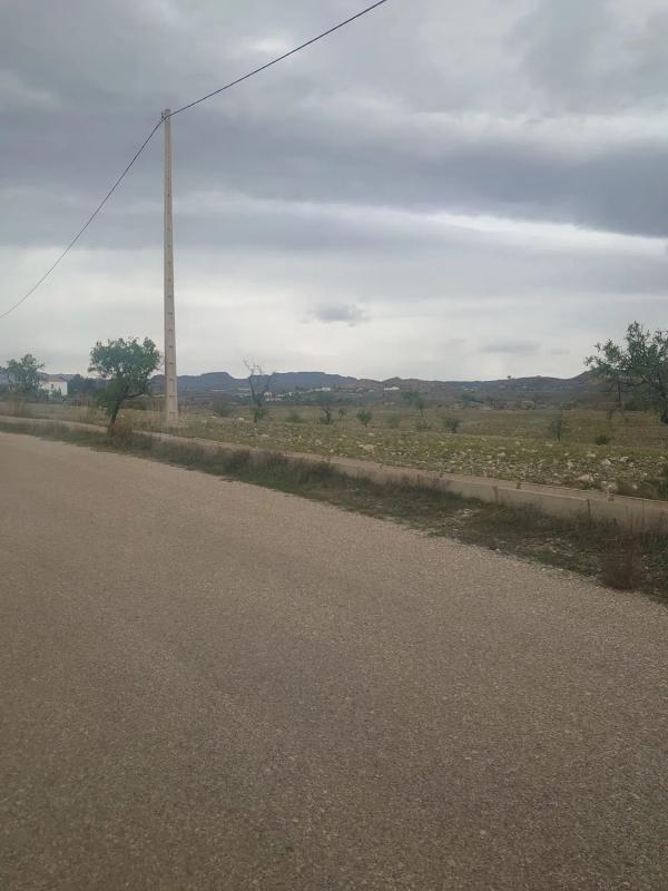 Terreno en venta en Albox, Almería photo 4