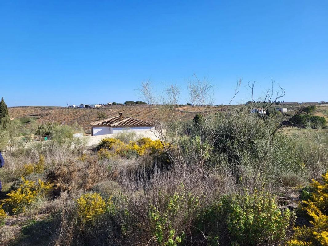 Terreno en venta en Lubrín, Almería photo 2