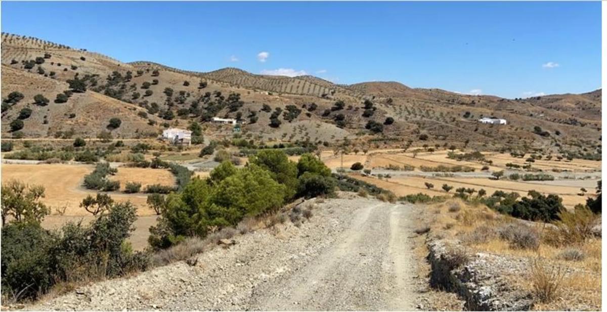 Działka na sprzedaż w Taberno, Almería photo 5