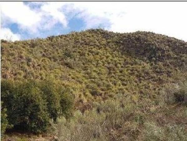 Terreno en Al-6107 photo 1