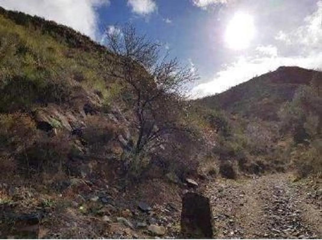 Terreno en venta en Albanchez, Almería photo 2