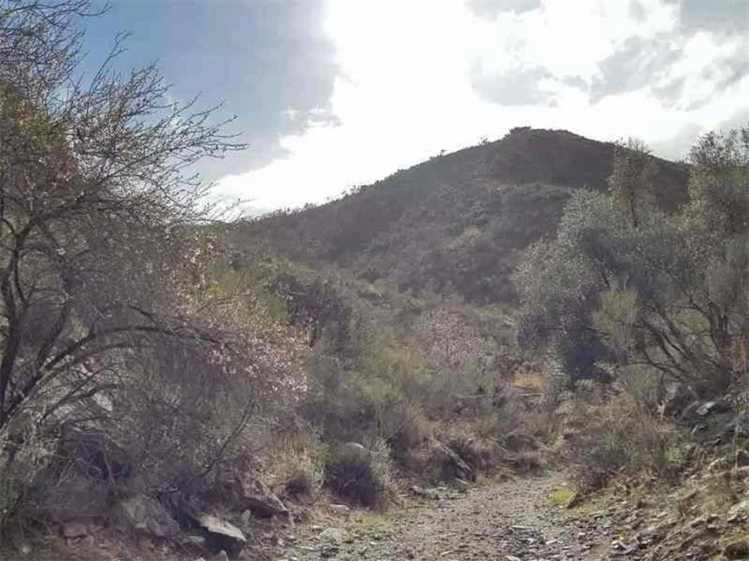 Terreno en venta en Albanchez, Almería photo 3