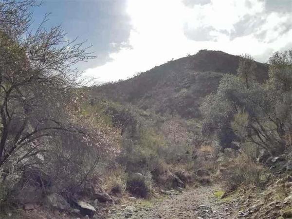 Terreno en Al-6107 photo 3