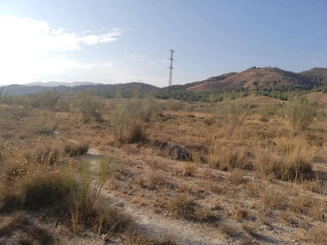 Terreno en venta en Purchena, Almería photo 1