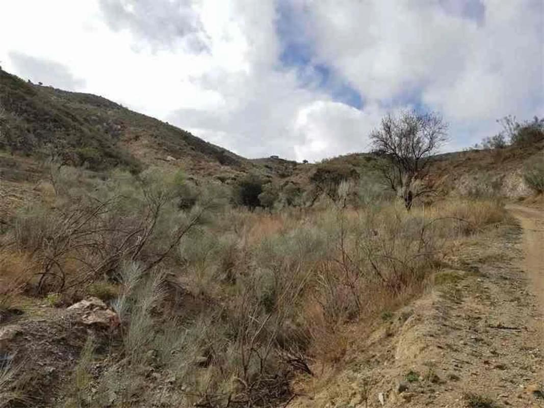 Terreno en venta en Albanchez, Almería photo 4