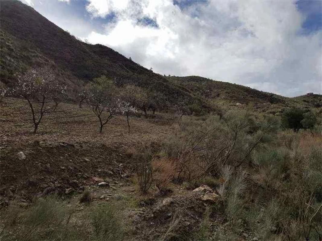 Terreno en venta en Albanchez, Almería photo 5