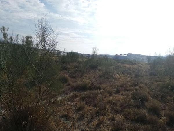Terreno en calle la Parra, 8 photo 3