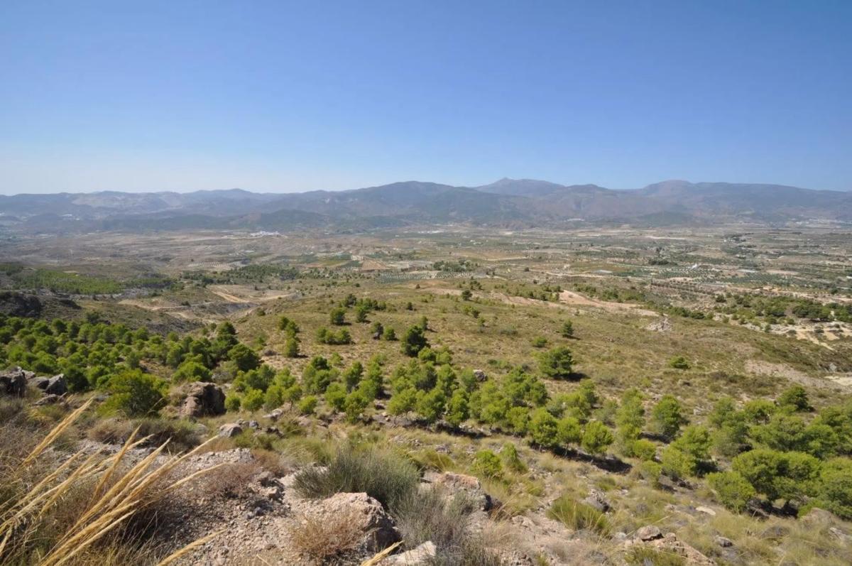 Terreno en venta en Urracal, Almería photo 5