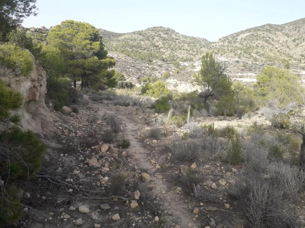 Terreno en venta en Urracal, Almería photo 5