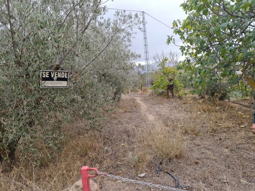 Terreno en venta en Seron, Almería photo 4