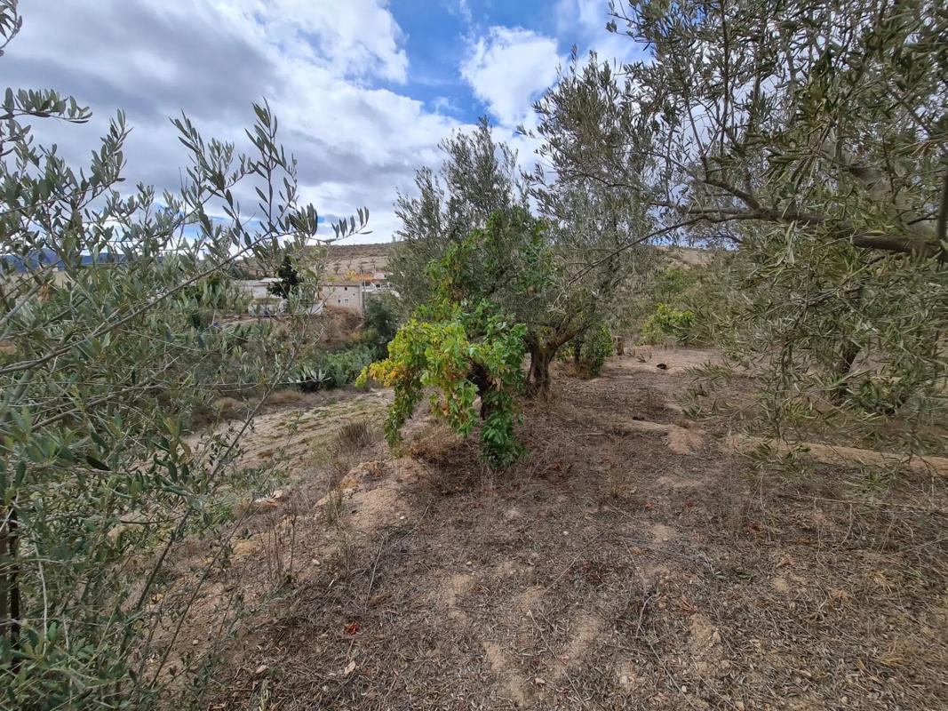 Terreno en venta en Seron, Almería photo 5