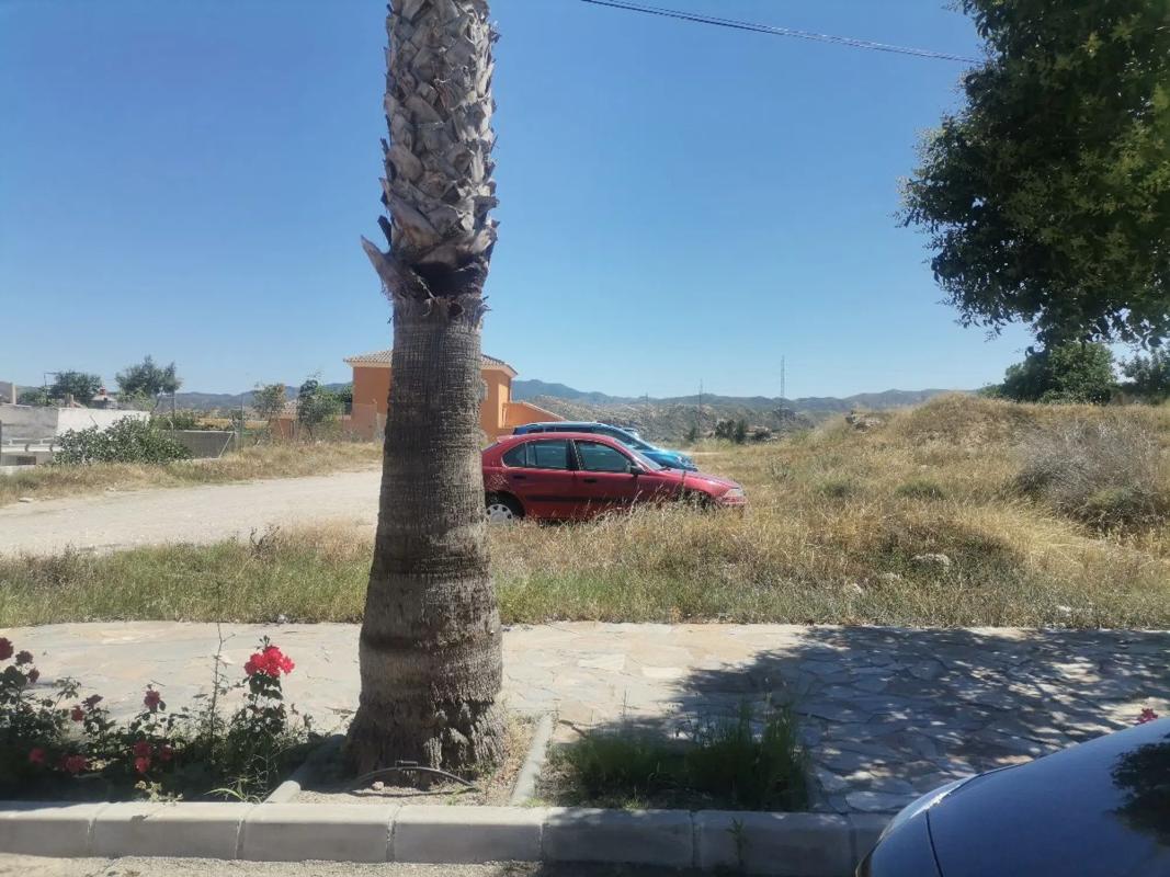 Land for sale in Arboleas, Almería photo 5