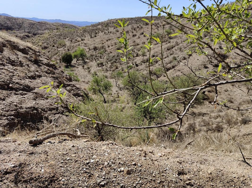 Terreno en venta en Partaloa, Almería photo 4