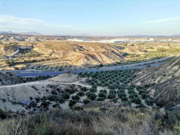 Terreno en Fines photo 4