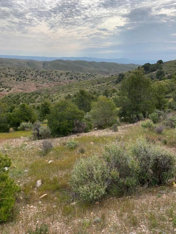 Terreno en venta en Partaloa, Almería photo 3