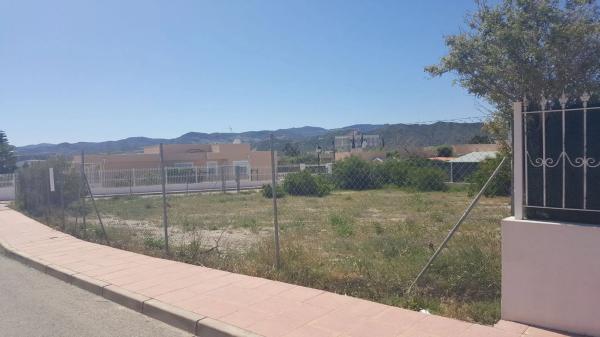 Terreno en calle Crisanteno, 5 photo 3